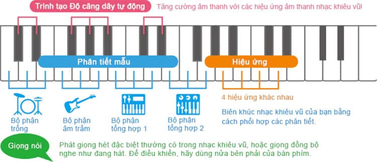 dan organ casiotone cts200 02 1