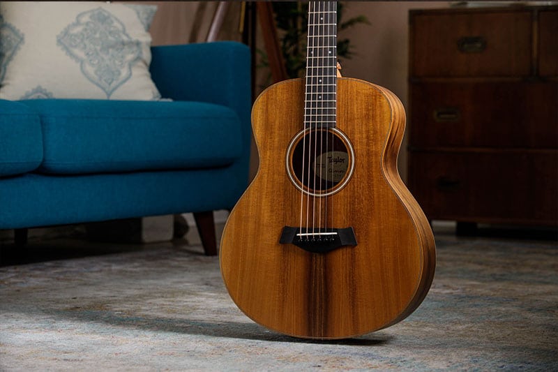 taylor gs mini e ko 02 1