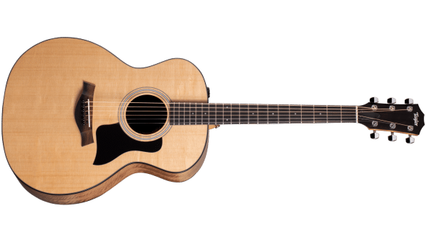 taylor 114e dan guitar acoustic