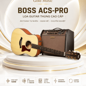 BOSS ACS-PRO Loa guitar thùng
