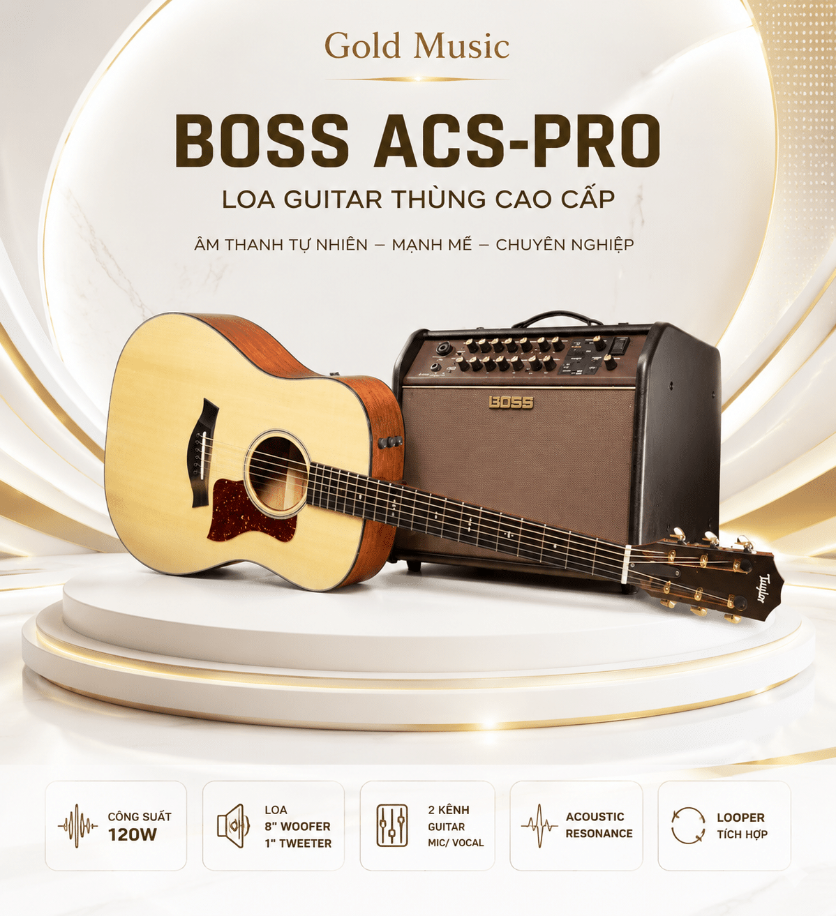 BOSS ACS-PRO Loa guitar thùng boss acs pro loa guitar thung