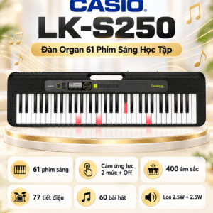 CASIO LK-S250 ĐÀN ORGAN PHÍM SÁNG HỌC TẬP