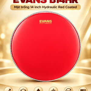 EVANS B14HR MẶT TRỐNG 14 inch