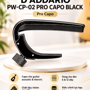 PW-CP-02