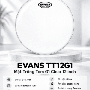 DADDARIO TT12G1 MẶT TRỐNG