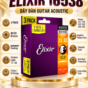 elixir 16538 day dan guitar acoustic