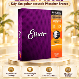 elixir 3313216027 day dan guitar