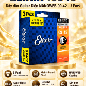 elixir 3313216540 day dan guitar
