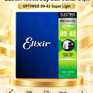elixir 3313219002 day dan guitar