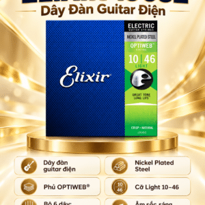elixir 3313219052 day dan guitar