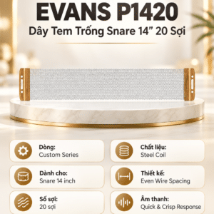 EVANS P1420 Dây Tem Trống Snare