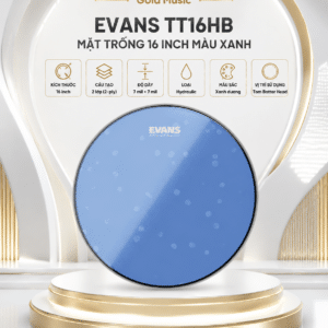 EVANS TT16HB MẶT TRỐNG 16 inch màu xanh