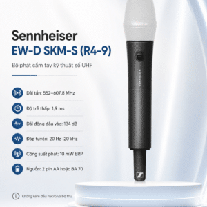ew d skm s r4 9 mic 4