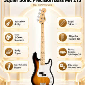 fender 0373902503 sq dan guitar bass