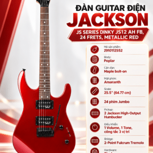 fender 2910112552 dan guitar dien