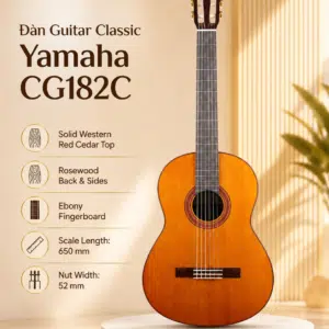 dan guitar classic yamaha cg182c 1