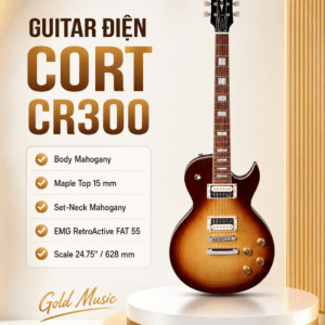 dan guitar dien cort cr300