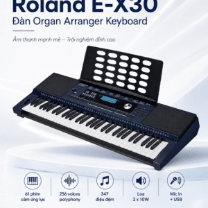 roland e x30 dan organ keyboard 3