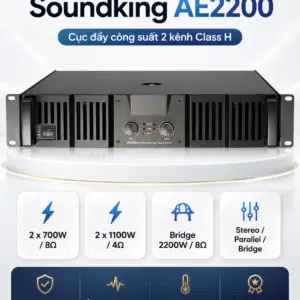 soundking ae2200 2