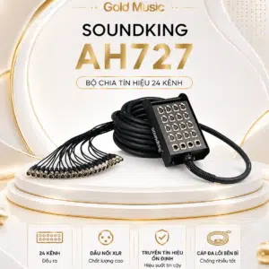 SOUNDKING AH727