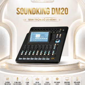 SOUNDKING DM20
