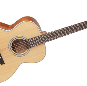 takamine gn20 ns dan guitar acoustic 1