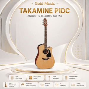 takamine p1dc dan guitar acoustic