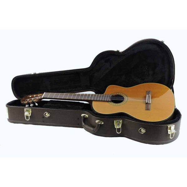 takamine tc132sc dan guitar nylon 2