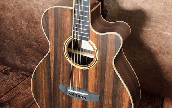 tanglewood dbt sfce aeb dan guitar acoustic 2