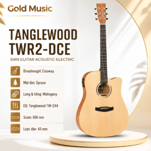 tanglewood twr2 DCE