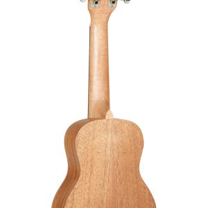 tanglewood twt1 dan ukulele 1
