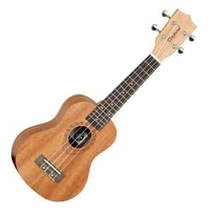 tanglewood twt1 dan ukulele 2