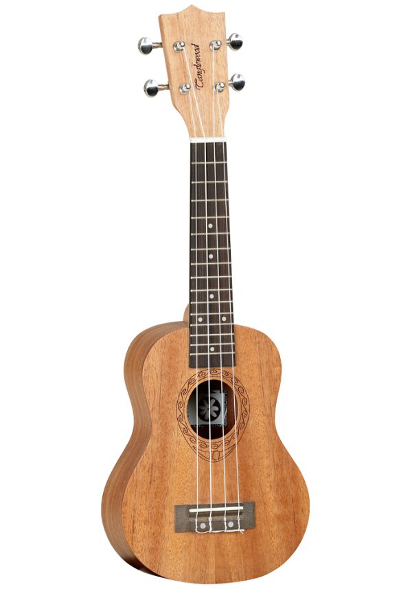 tanglewood twt1 dan ukulele