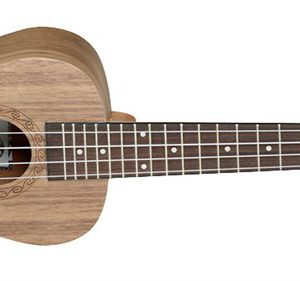 tanglewood twt3 dan ukulele 4