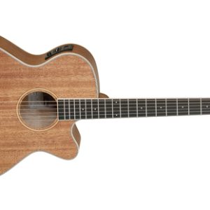 tanglewood twu dce dan guitar acoustic 4