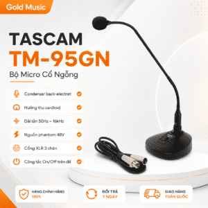 tascam tm 95GN