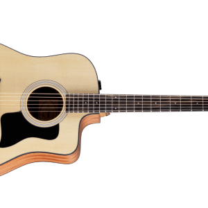 taylor 110ce s dan acoustic 110ce sapele