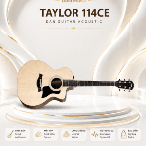 taylor 114ce dan guitar acoustic