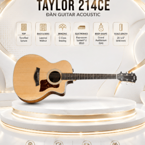 taylor 214ce dan guitar acoustic