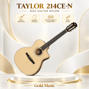taylor 214ce n dan guitar nylon 2