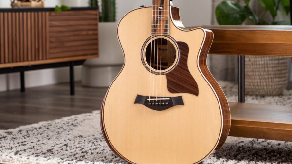 taylor 814ce dan guitar acoustic 1