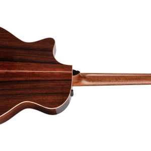 taylor 814ce dan guitar acoustic 3