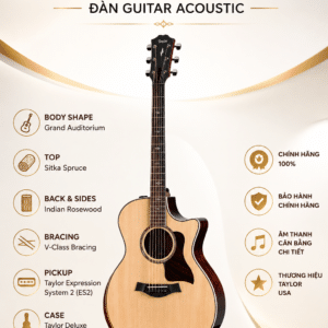 TAYLOR 814CE ĐÀN GUITAR ACOUSTIC taylor 814ce guitar acoustic