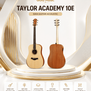 taylor academy 10e dan guitar 3