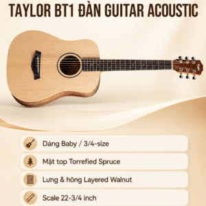 taylor bt1 dan guitar acoustic