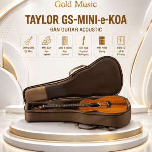 taylor gs mini e koa dan guitar acoustic 3