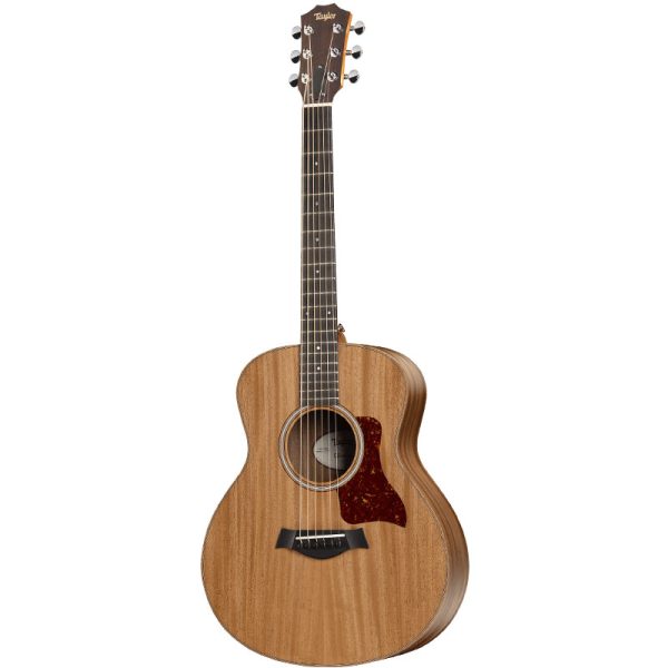 Taylor GS Mini E