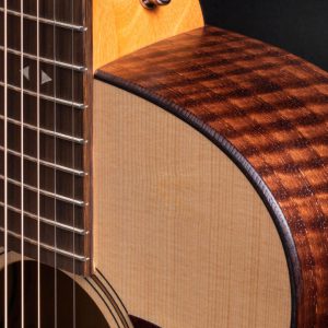 taylor gte ash dan guitar 6