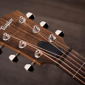 taylor gte ash dan guitar 8