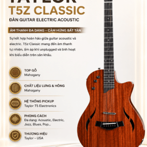 taylor t5z classic dan guitar